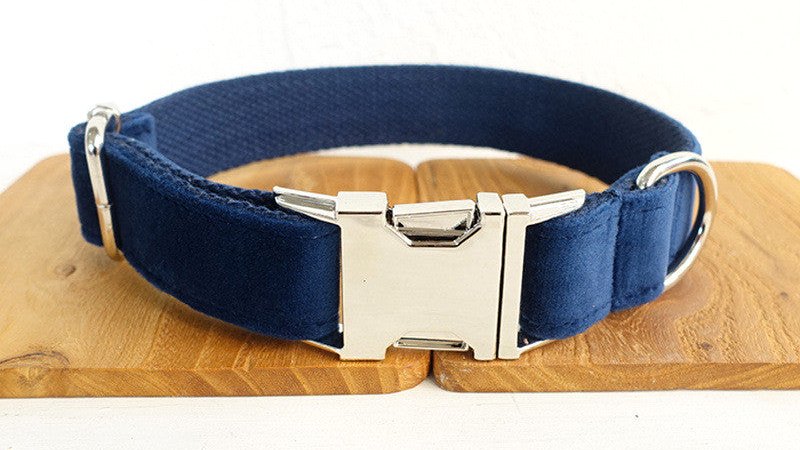 How to Choose the Right Dog Collar: Types, Fit, Safety & Materials